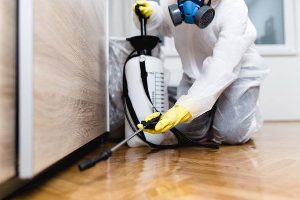 Wildlife Control Services in Port Washington North, NY