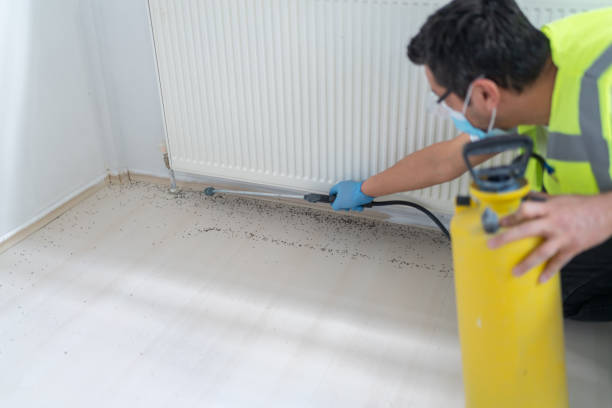 Best Exterminator Services  in Port Washington North, NY