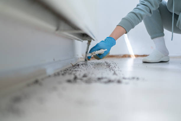 Best Local Pest Control Services  in Port Washington North, NY